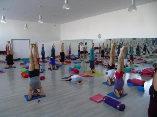 10575192_1840670182826619_8811417194327790232_o_1840670182826619