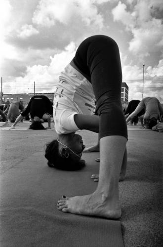 yogaday2015_iyengaryogstudiobari_02