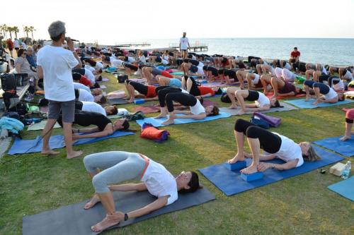 yogaday_yogastudiobari__0076