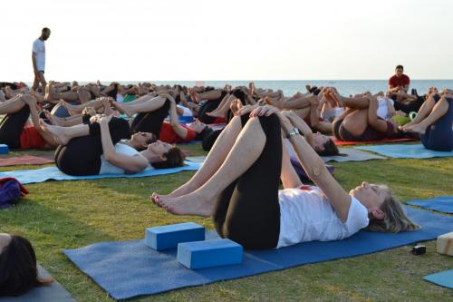 yogaday_yogastudiobari__0077