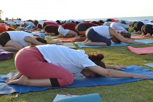 yogaday_yogastudiobari__0078
