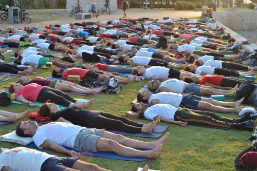 yogaday_yogastudiobari__0081